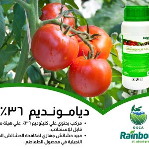 ديامونديم ٣٦٪