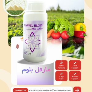 مارفل_بلوم 👌🌺