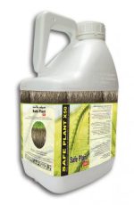 سيف بلانت X50